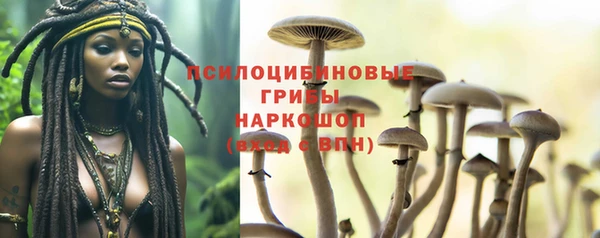 Альфа ПВП Алзамай
