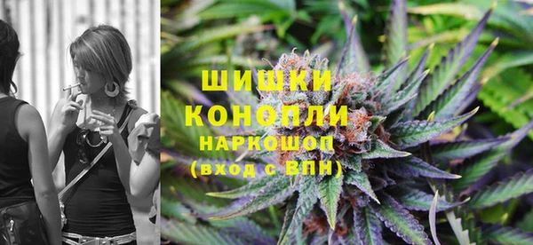 Альфа ПВП Алзамай