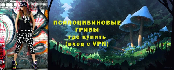 Альфа ПВП Алзамай
