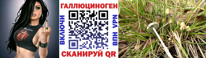 Псилоцибиновые грибы MAGIC MUSHROOMS  купить наркотик  МЕГА зеркало  Кудрово 