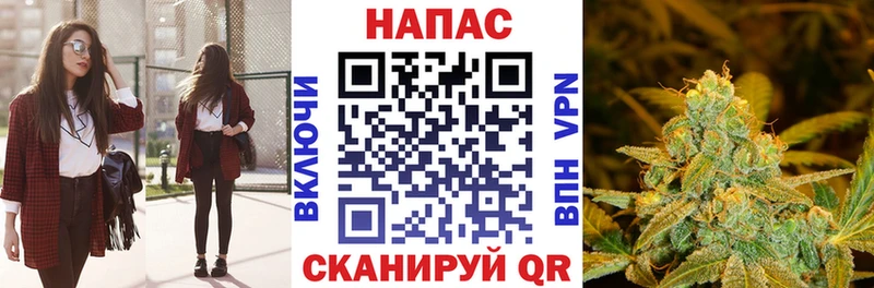 Конопля Bruce Banner Кудрово